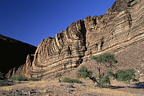 Geologic folding in lower Ugab Valley, Damaraland, Namibia