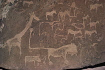 Petroglyphs of animals hunted by bushmen, Twyfelfontein, Namibia