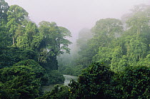 Segama River flowing through rainforest, Danum Valley, Sabah, Borneo, Malaysia