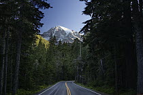 Mount Rainier and paved road, Mount Rainier National Park, Washington
