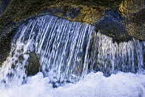 Creek in Mount Rainier National Park, Washington