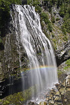 Narada Falls with rainbow, Mount Rainier National Park, Washington