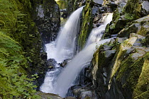 Waterfalls of Sol Duc River, Olympic National Park, Washington