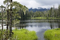 Crane Lake, Tongass National Forest, Mitkof Island, southeast Alaska
