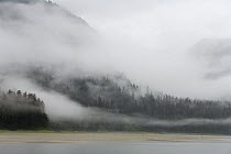 Clouds and mist over forest, Admiralty Island National Monument, Inside Passage, Alaska