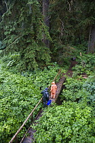Tourists walking over bridge, Pack Creek, Tongass National Forest, Admiralty Island National Monument, Admiralty Island, Alaska