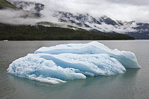 Iceberg in Endicott Arm, Inside Passage, southeast Alaska