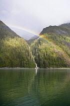 Rainbow over forest, Endicott Arm, Inside Passage, southeast Alaska