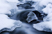 Ice patches in stream, Bavarian Forest, Germany