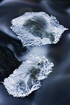 Ice patches in streaming water, Bavarian Forest, Germany