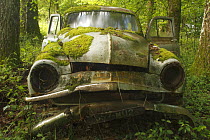 Old car wreck in forest, Saint-Jory-las-Bloux, Dordogne, France