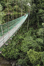 Tourist on suspension bridge in rainforest, Danum Valley Conservation Area, Borneo, Malaysia