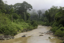 Segama River flowing through lowland rainforest, Danum Valley Conservation Area, Borneo, Malaysia