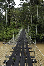 Suspension bridge in lowland rainforest, Danum Valley Conservation Area, Borneo, Malaysia
