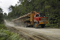 Truck with timber from a logging area, Danum Valley Conservation Area, Borneo, Malaysia