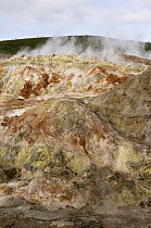 Steaming sulphur fumaroles, Alcedo Volcano, Isabella Island, Galapagos Islands, Ecuador