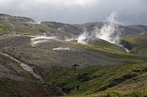 Steam vents, Alcedo Volcano, Isabella Island, Galapagos Islands, Ecuador