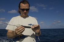 Researcher James Ketchum with satellite tag for tagging shark, Wolf Island, Galapagos Islands, Ecuador