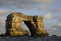 Eroded volcanic tufa arch known as Darwin Arch, Darwin Island, Galapagos Islands, Ecuador