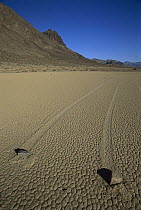 Racetrack Playa with mysterious 'sailing stones', Death Valley, California