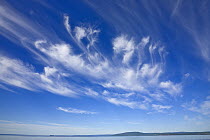 White cirrus clouds floating in clear blue sky over Bay of Fundy in summer, New Brunswick, Canada