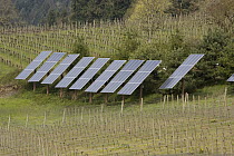 Solar panels providing about thirty percent of winery's power needs, Dundee, Oregon