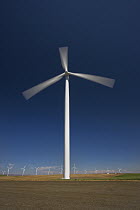 Biglow Wind Farm near the Columbia River, Oregon
