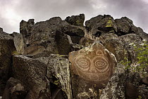 The famous ancient rock art known as Tsagaglalal, located in the Columbia Hills State Park, Washington