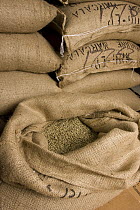 Coffee beans after arriving in the United States for roasting in boutique coffee shops, North America