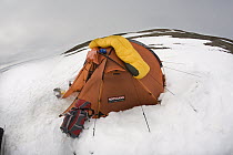 Tent on snow, Banks Island, Canada