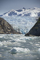 Sawyer Glacier, Tracy Arm Fjord, Alaska