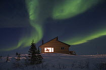 Aurora borealis over log cabin, northern Manitoba, Canada
