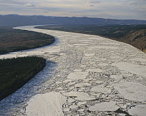 Ice floes in Yukon River in spring, Alaska