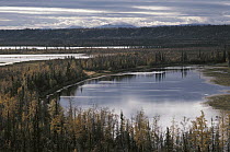 Lakes and boreal forest, Brooks Range, Alaska