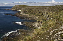 Coastline, Cape Dolphin, Falkland Islands