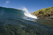 Wave breaking over coral reef, Honolua Bay, Maui, Hawaii