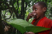 Baka child eating honey, Cameroon