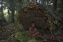 Baka man and child in a Mongolu at a forest hunting campsite, Cameroon