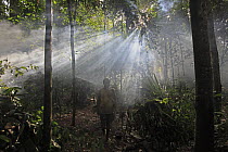 Baka man in a forest hunting camp, Cameroon