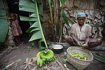 Baka tribe member in farm camp with bananas, Cameroon