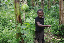Baka boy playing with fruit in farm camp, Cameroon