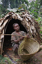 Ngongo (Megaphrynium macrostachyum) fibers used by Baka woman to make a basket, Cameroon