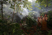 Baka tribe hunting camp of Mongolu's, with tribe members, Cameroon