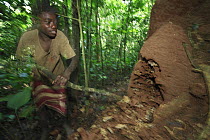Baka tribe member looking for termite larva as food, Cameroon