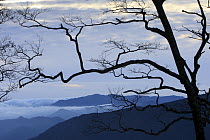 View from Mount Omine, a holly mountain, Yoshino-Kumano National Park, Japan