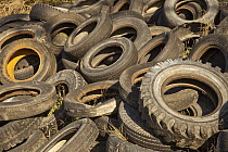 Abandoned car tires in junkyard, Christchurch, New Zealand