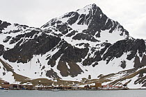 Leith, an abandoned whaling station, South Georgia Island