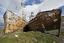 Old whaling ships stranded in abandoned whaling station, Leith, South Georgia Island