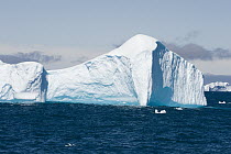 Iceberg, South Georgia Island