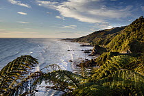 Coastline north of Punakaiki, Paparoa National Park, New Zealand